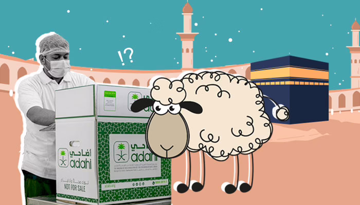 الأضاحي في مصر