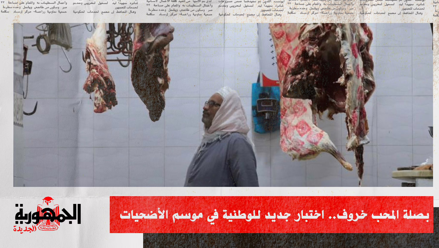 بصلة المحب خروف